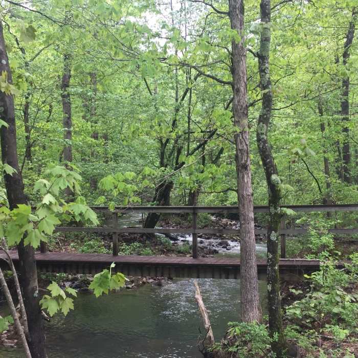 Ouachita River here is just a wee babe. It's source is a mere mile away. Near Fire Tower to Black Fork Mountain