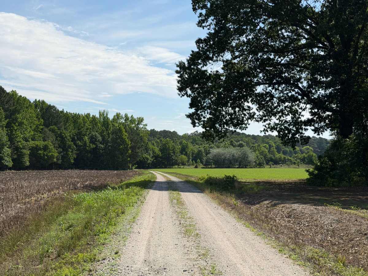 Anson Access Road photo 3