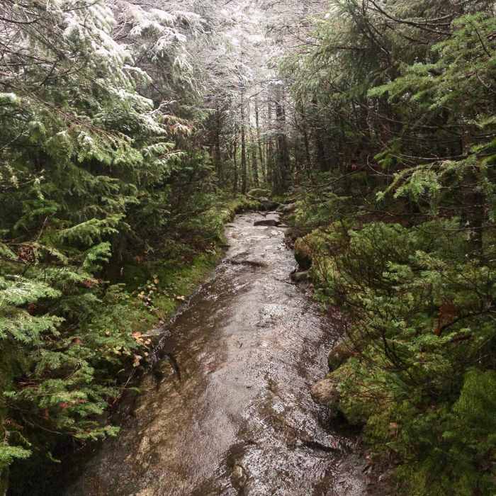 Near Algonquin Peak