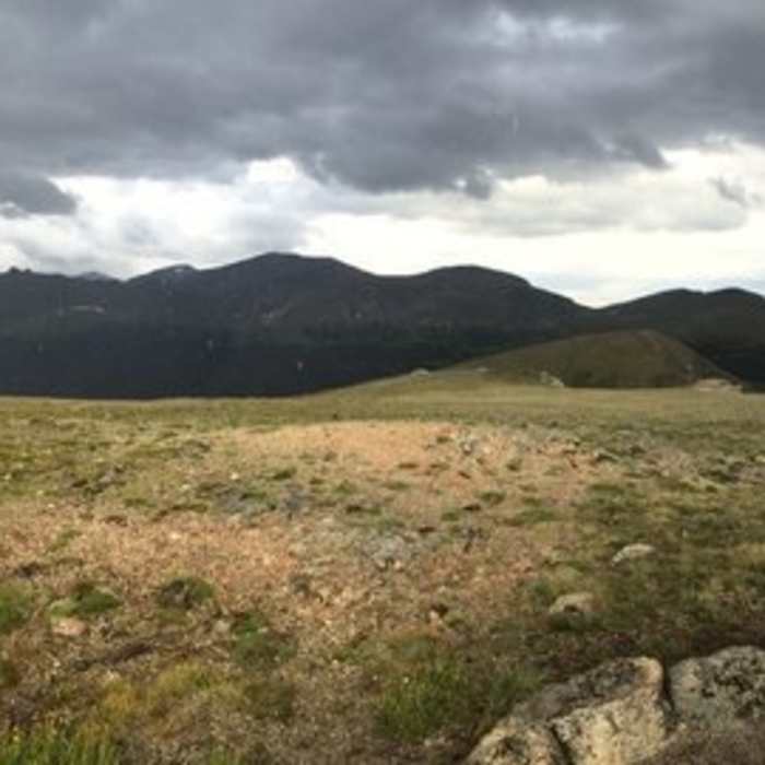 Near Alpine Ridge Trail