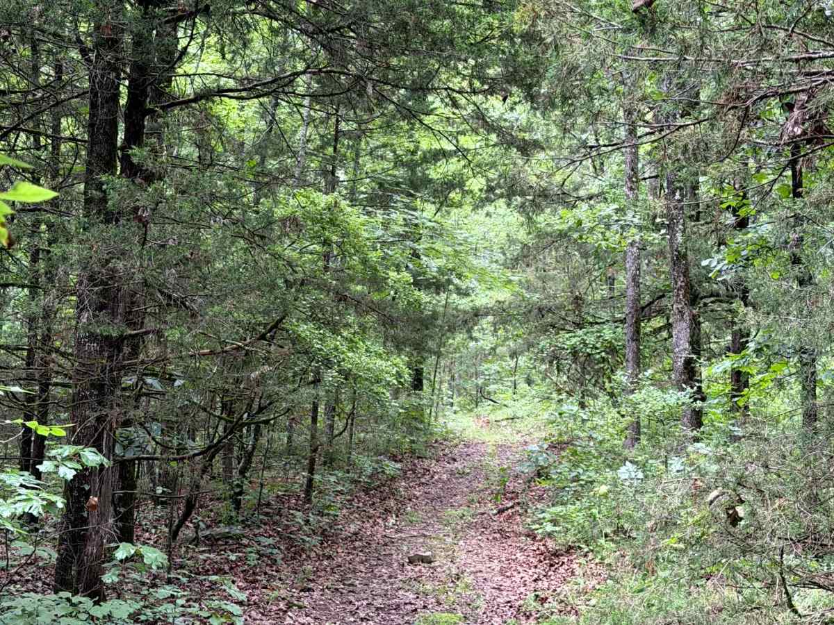 West Prong Passage photo 2