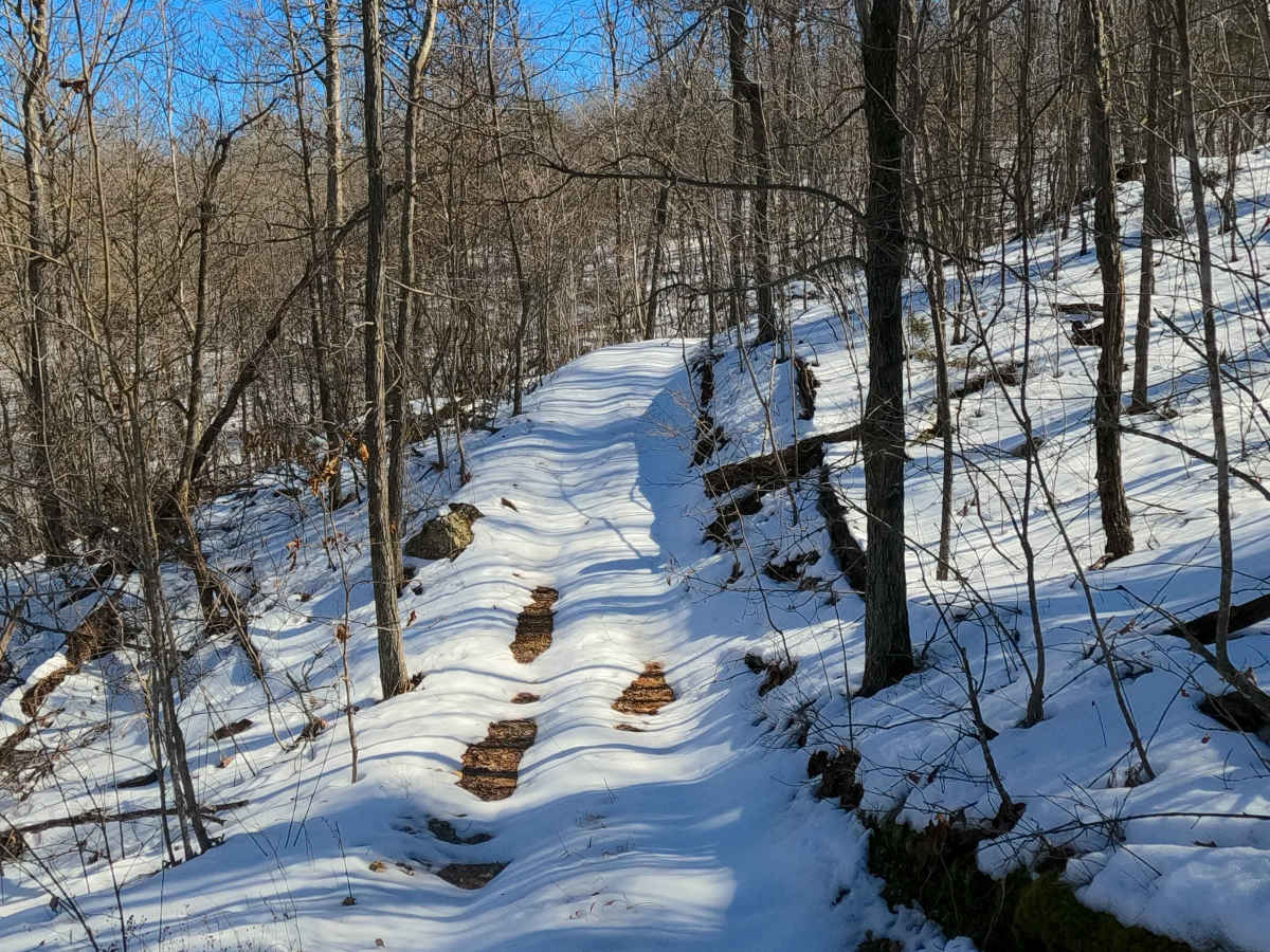 Sutton Bluff ATV 15 West - SB 15 photo 4