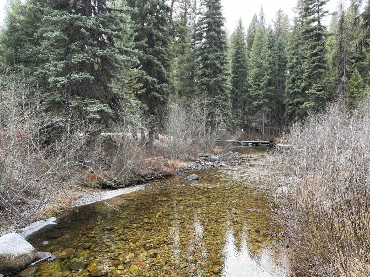 Trapper Creek Trailhead photo 3