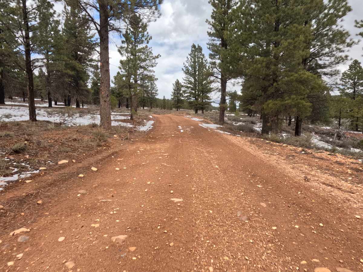Fremont ATV Trail - FS 33002 photo 6