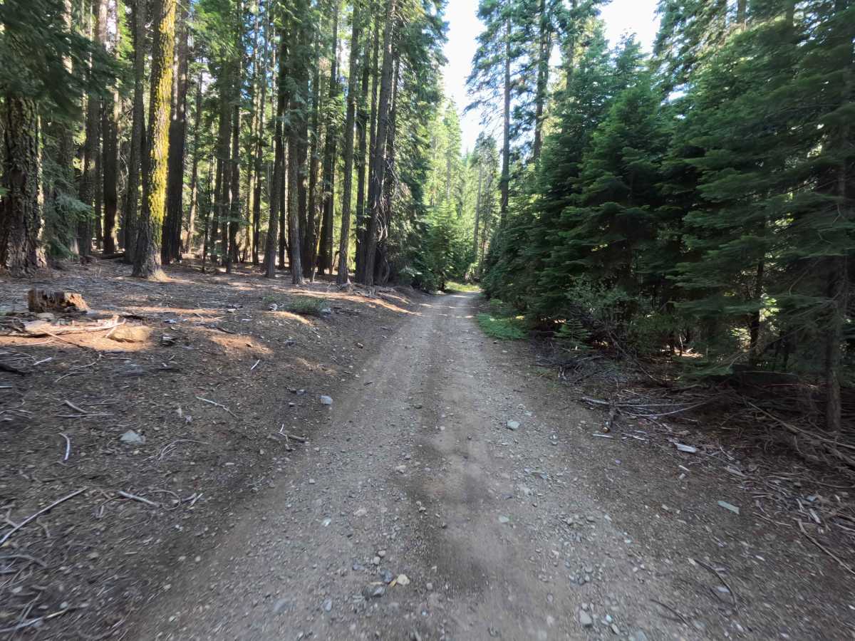 Haskell Sheep Ranch - FS 21N27 photo 4