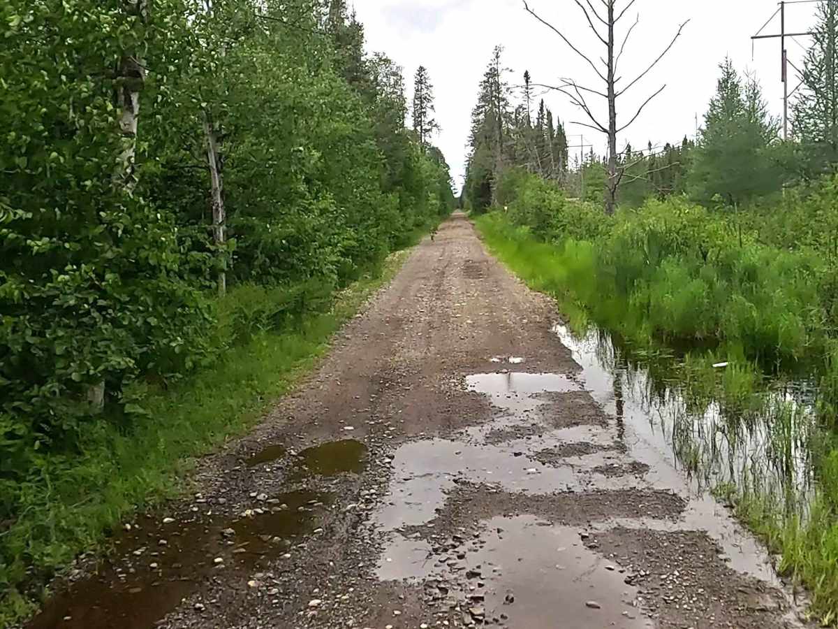 Off-Road Vehicle Route CL - Clowry Grade photo 3
