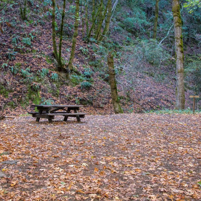 Near Knobcone Point + Black Rock Falls Hike via Contour Trail