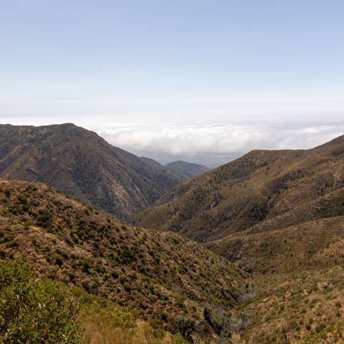 Near San Ysidro Trail