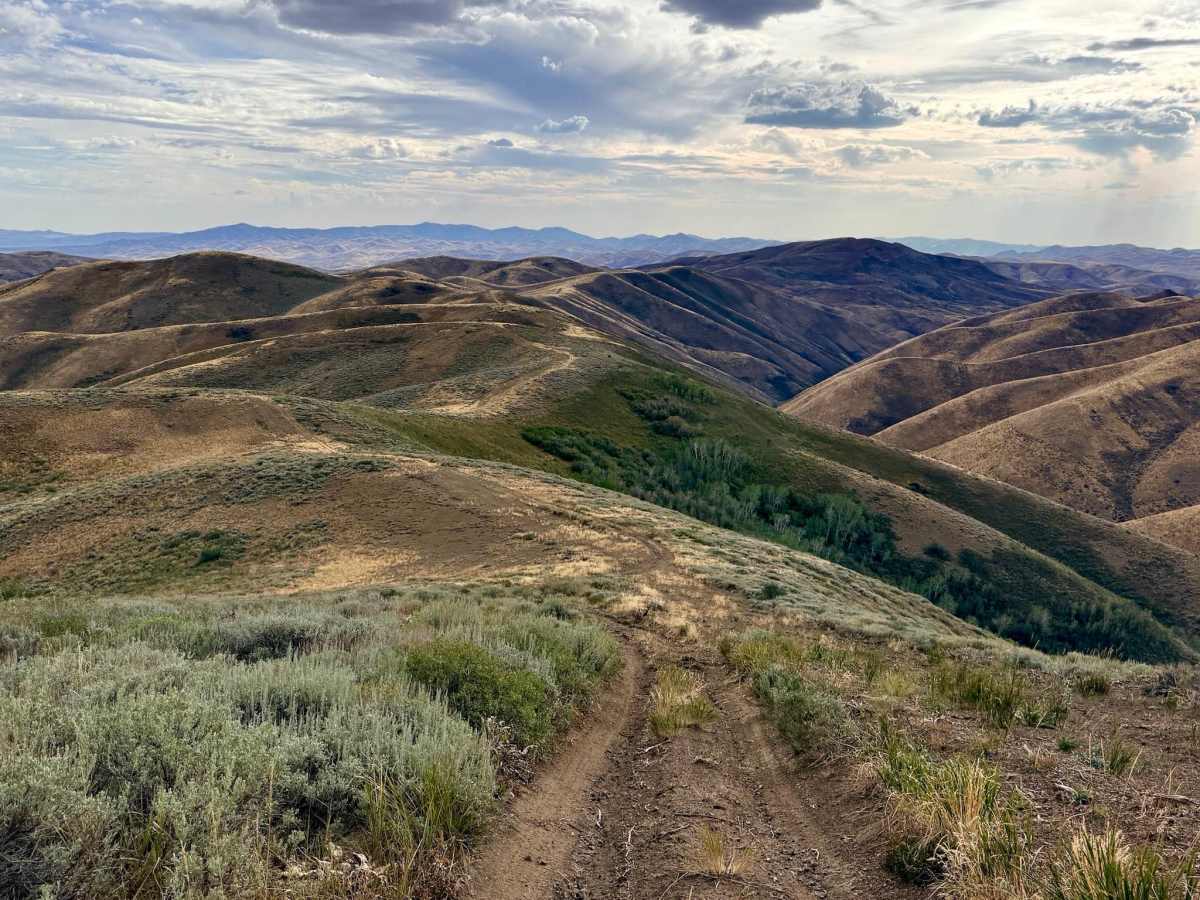 Independence Drive - FS 56160 trail photo