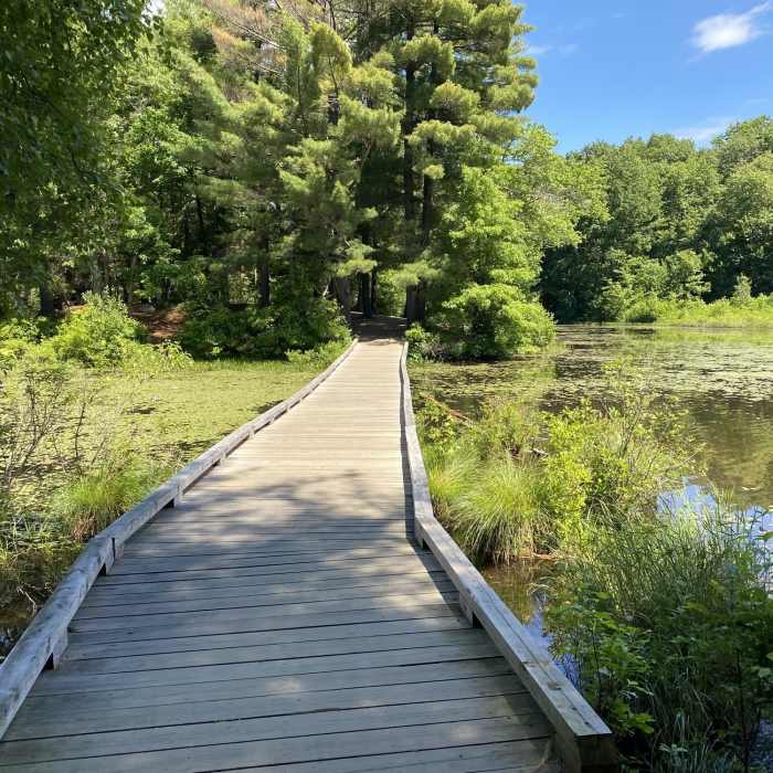 Near Scoville Reservoir Trail