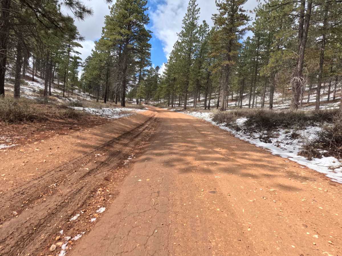Great Western Trail - FS 30090 photo 6