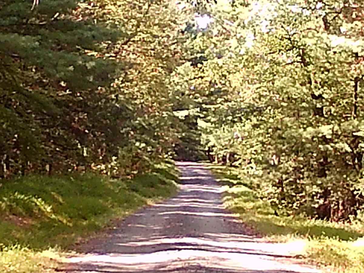 Locust Ridge road photo 2
