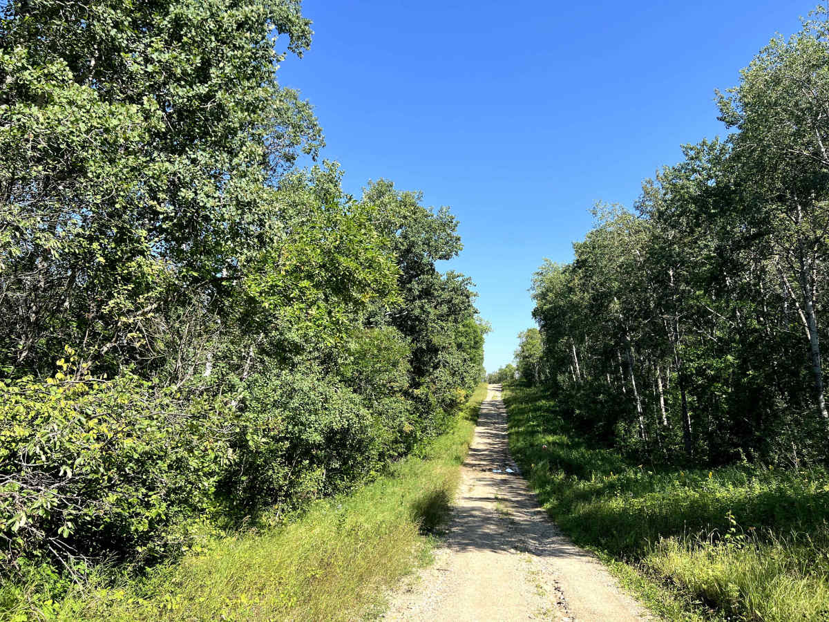 Centre Road - Moose Mountain Provincial Park photo 6