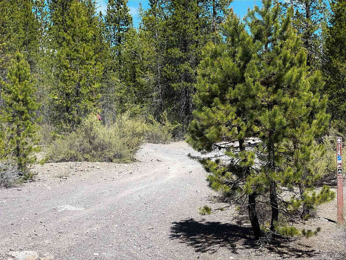 Trail 14   photo 5