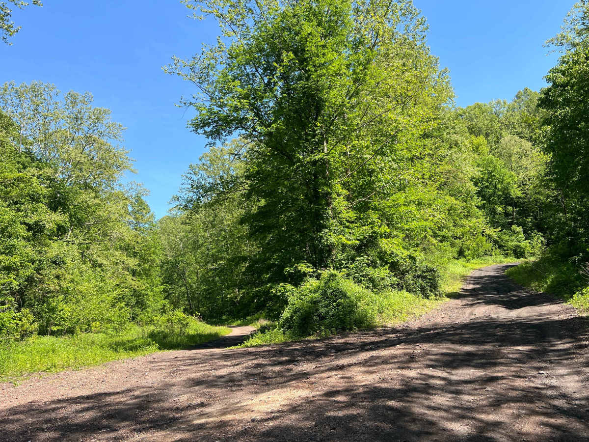 KC7 trail photo