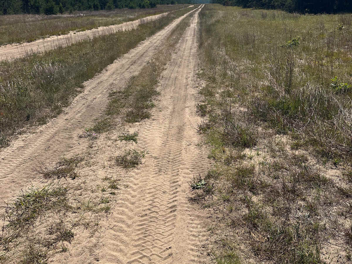 Wilson Spur photo 5