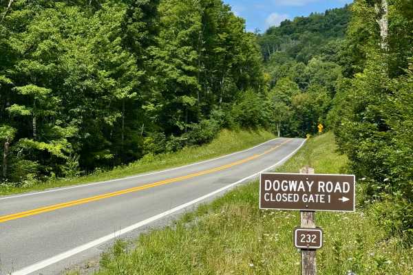Dogway Road - FS 232