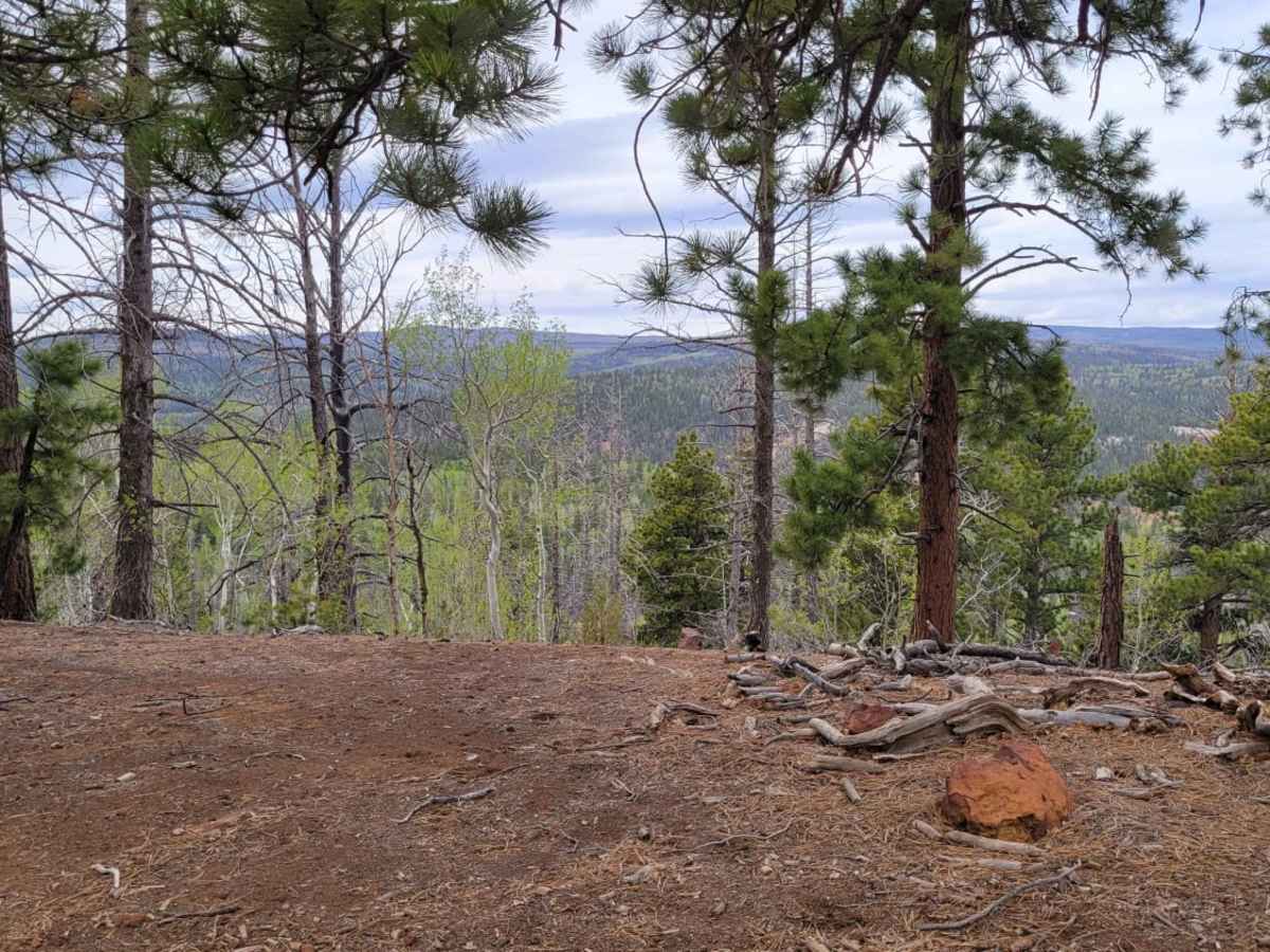 Henrie Knolls Summit photo 4