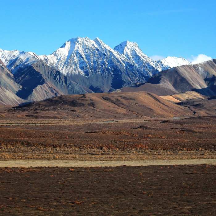 Tundra and mountains in Denali National Park. with permission from David Broome Near Mom's Polychrome Picnic Loop