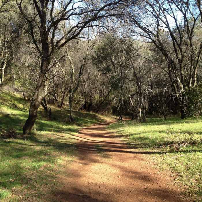 Near Hidden Falls Loop