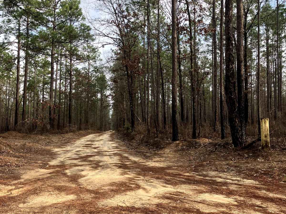 Bullard Church Road - SR 54 photo 2