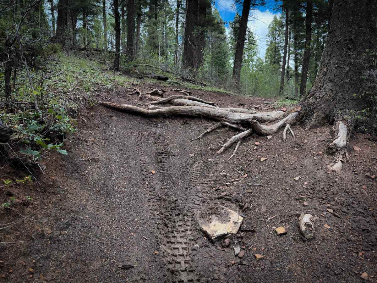 La Cueva Trail - FS 8  photo 4