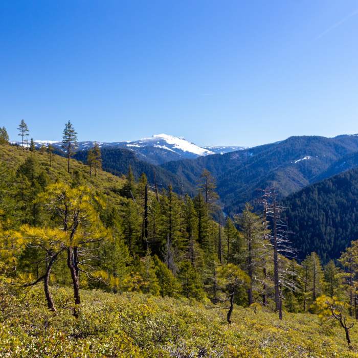 Near Halls Ranch Trail