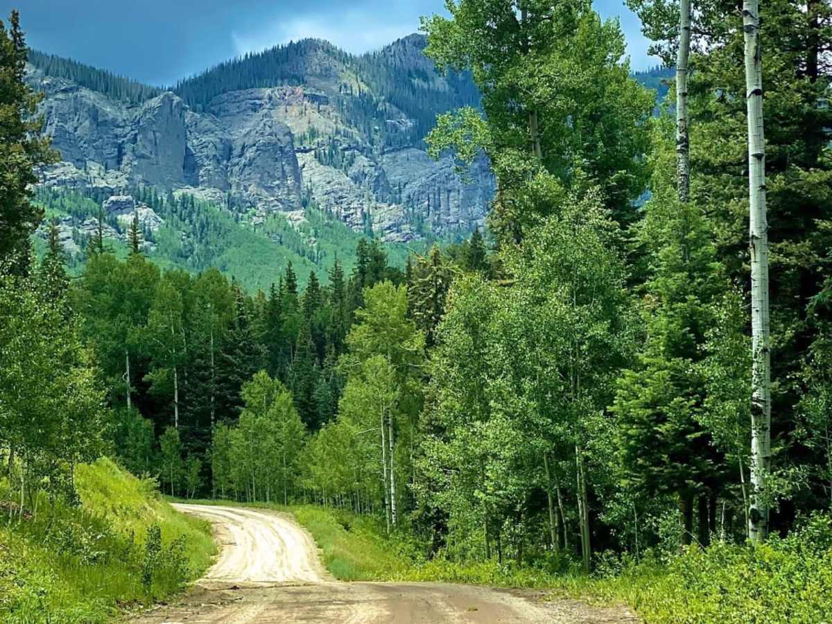 Four Mile Falls & Lake Trails-Fr Rd 645 photo 5