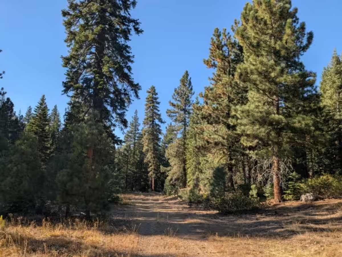 Willow Creek Road  photo 4
