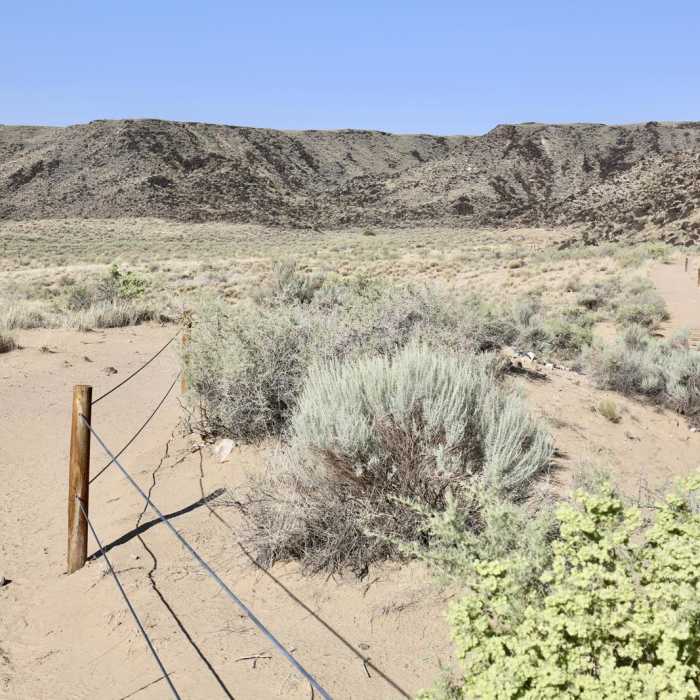 Near Rinconada Canyon Trail