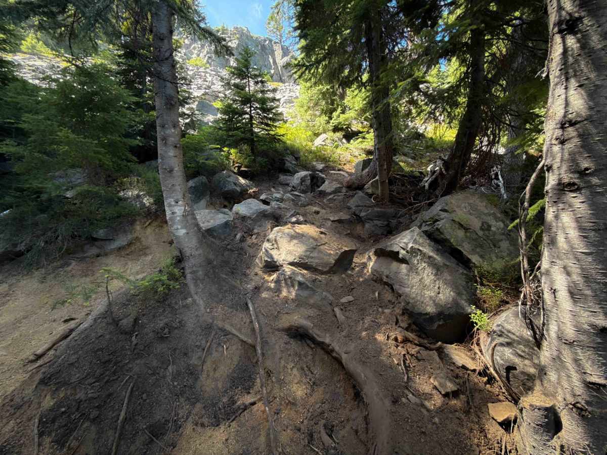 Sawtooth Trail  trail photo