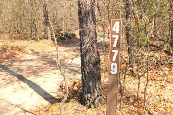 Smith Creek - FS 4779