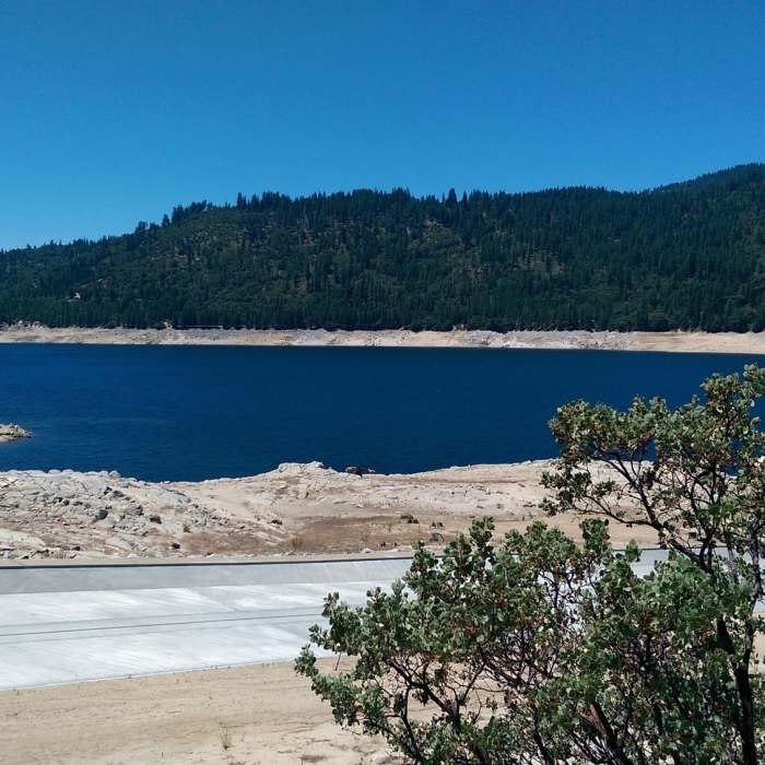 Near Pinecrest Lake National Recreation Trail