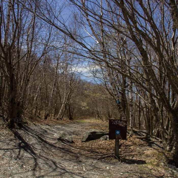 Near Berlin Mountain + Taconic Crest Trail Near Berlin Mountain + Taconic Crest Trail