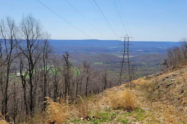 Odonnel Field Trail
