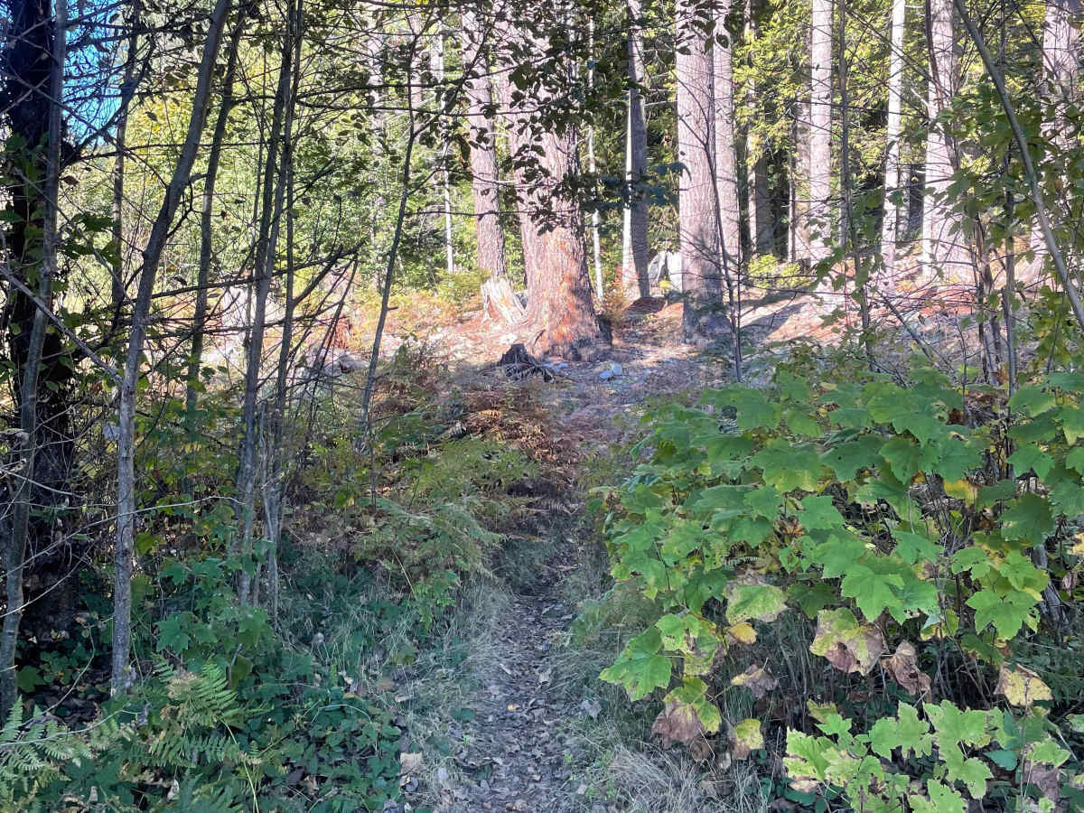 Tricycle - Hydro Hill Connector photo 2