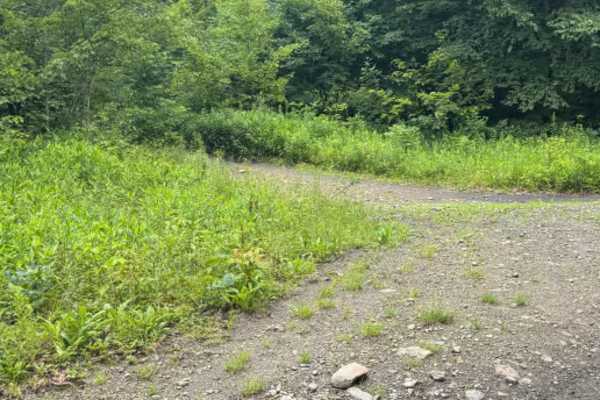 Trail 88