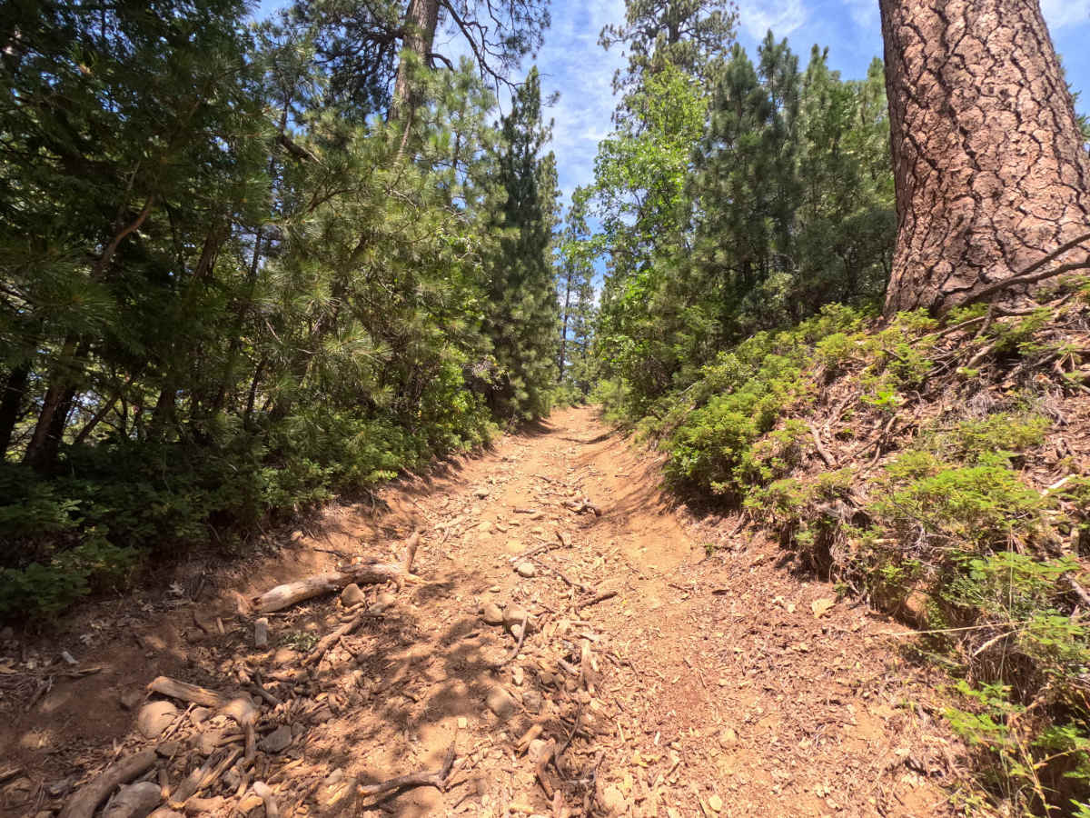 Rushing Meadow - FS 17EV23 trail photo