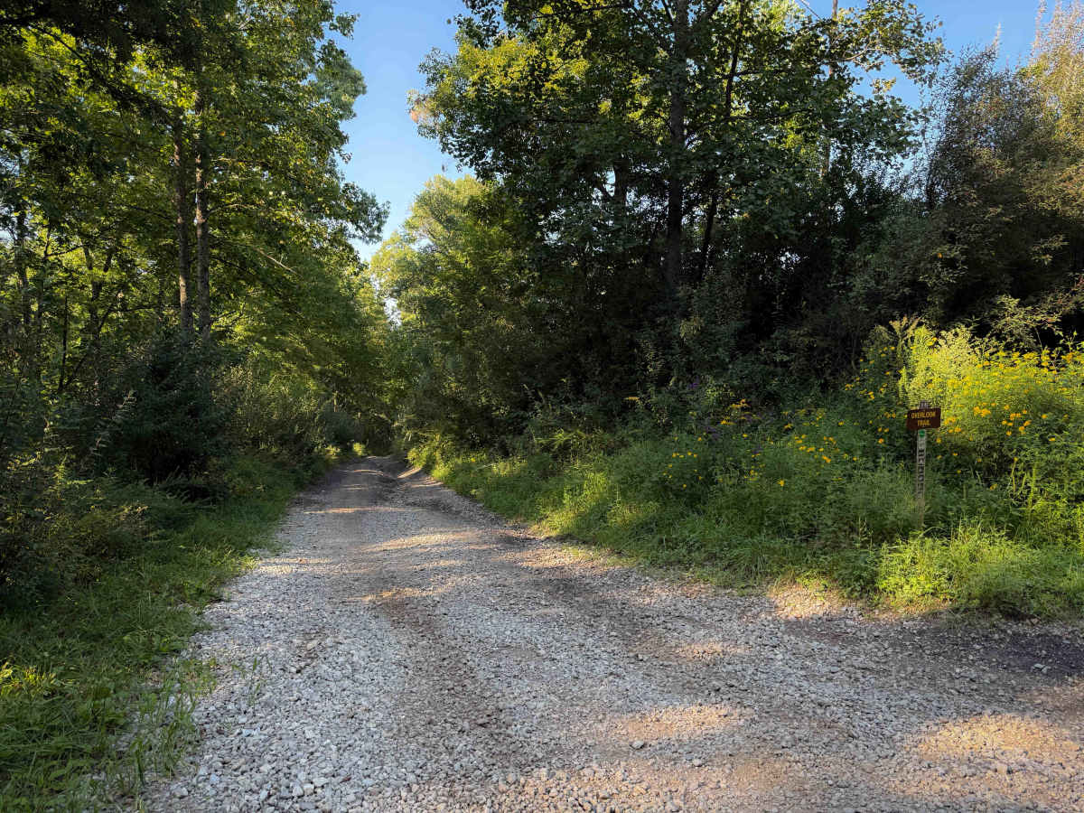 Overlook Trail 36  photo 6