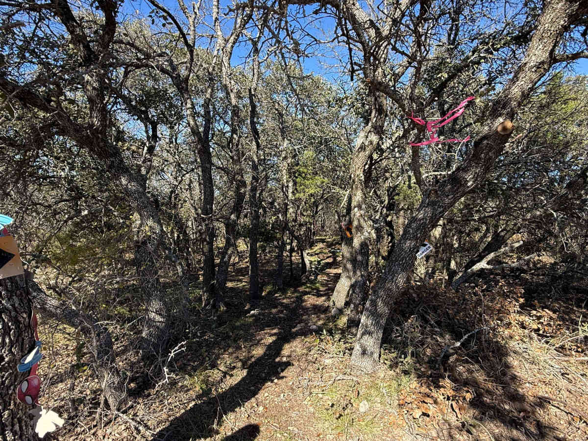 Raven's Crossing photo 6