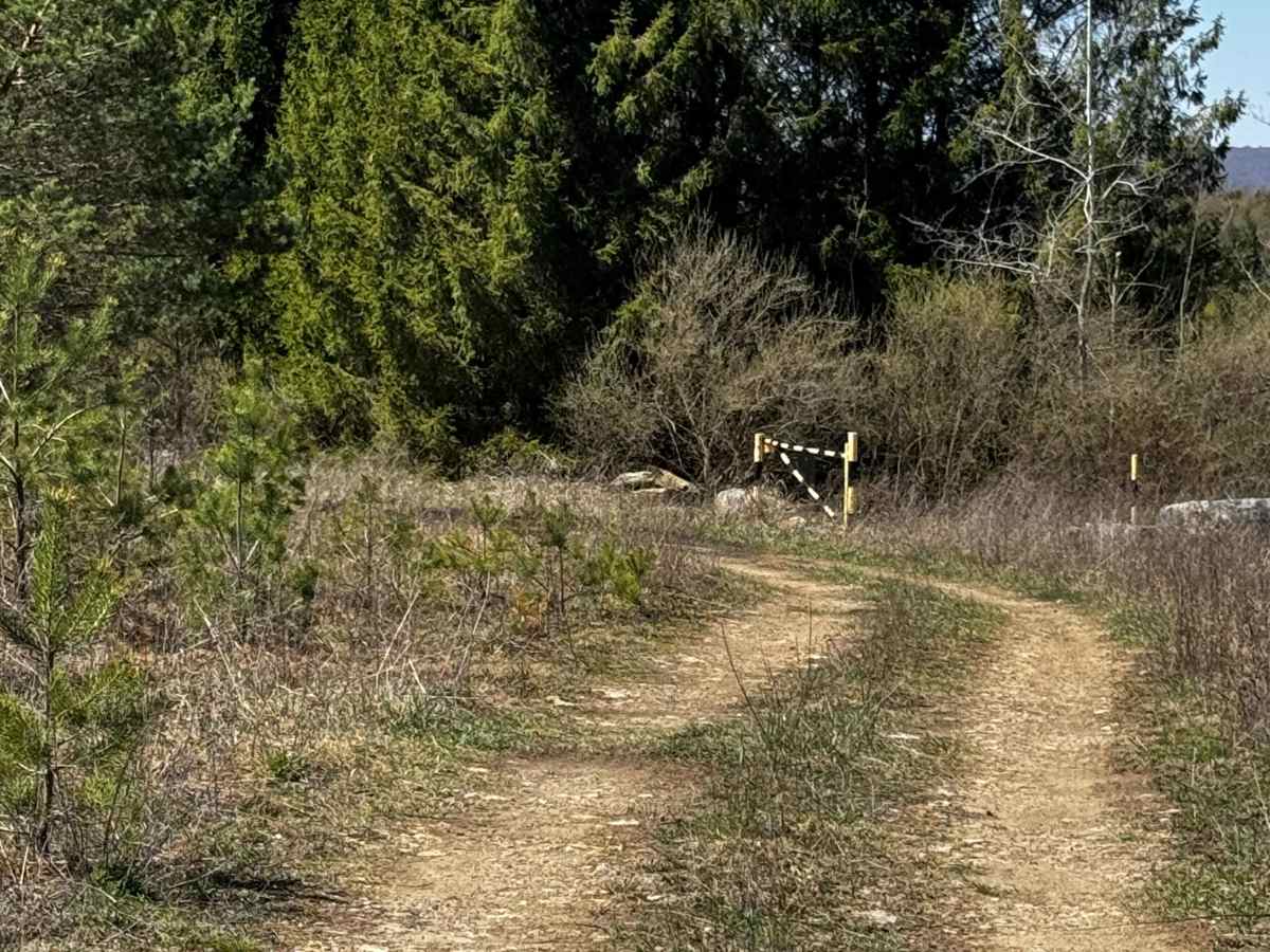 Texas Eastern Pipeline Trail photo 5