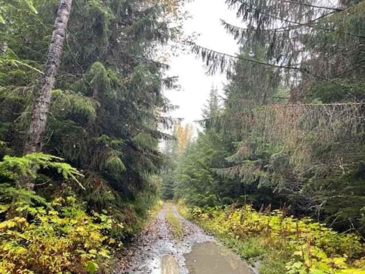 Jigsaw Lake Recreational Site photo 6