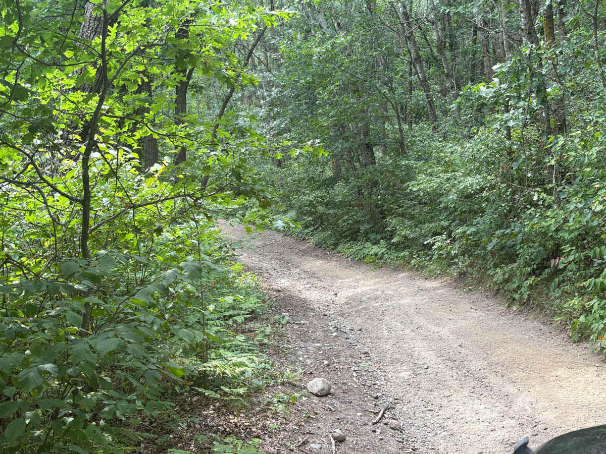 Forest Road 0404 photo 6