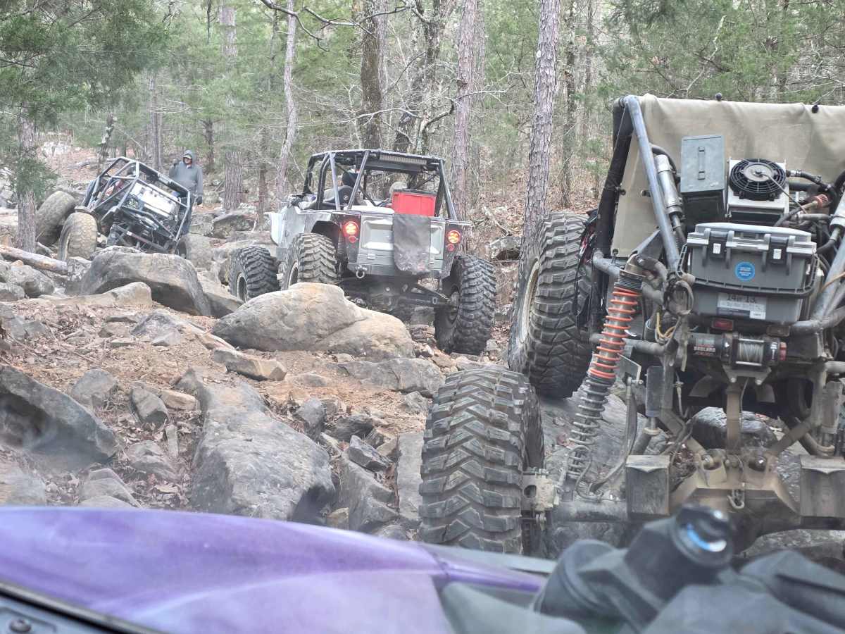 Coon Hunter photo 3