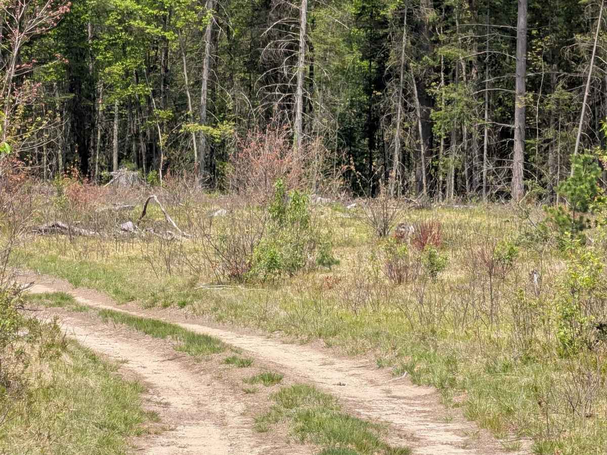 West Boehm Road photo 5