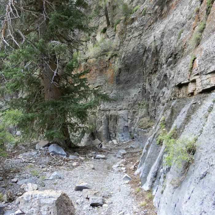 Near Notch Peak Hike