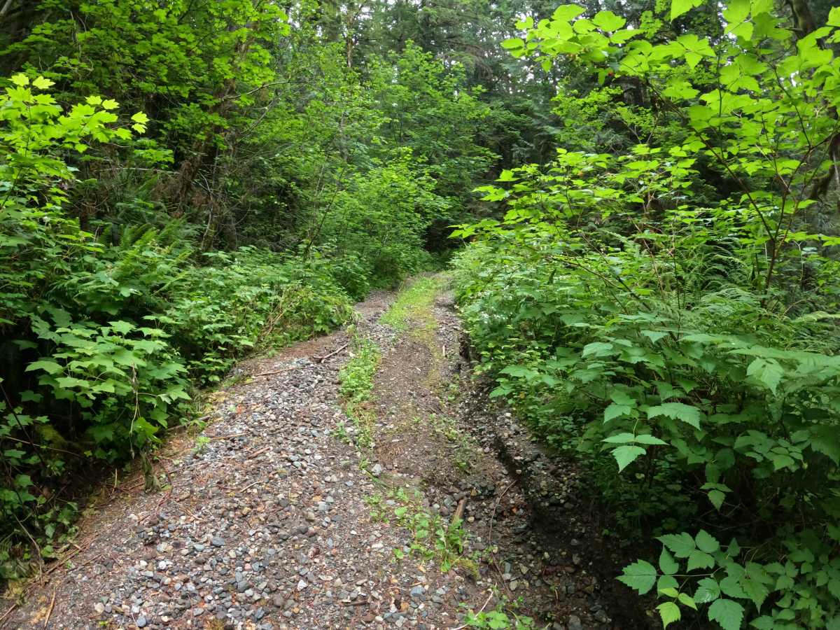 West Pugh - FS 2090 photo 2