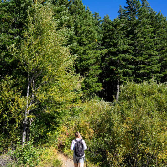 Near Laurance Lake High Ridge Hike
