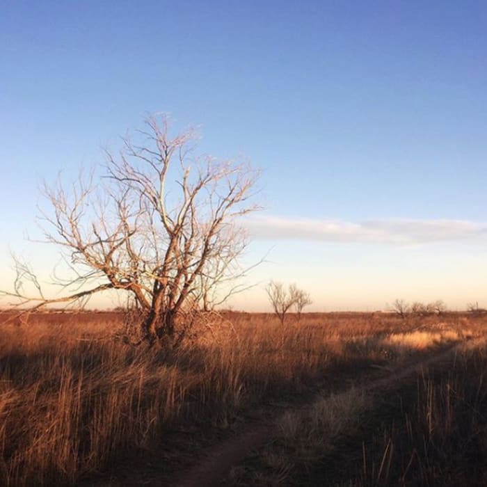 West Texas Winter. Near Mae Simmons Outer Loop Trail