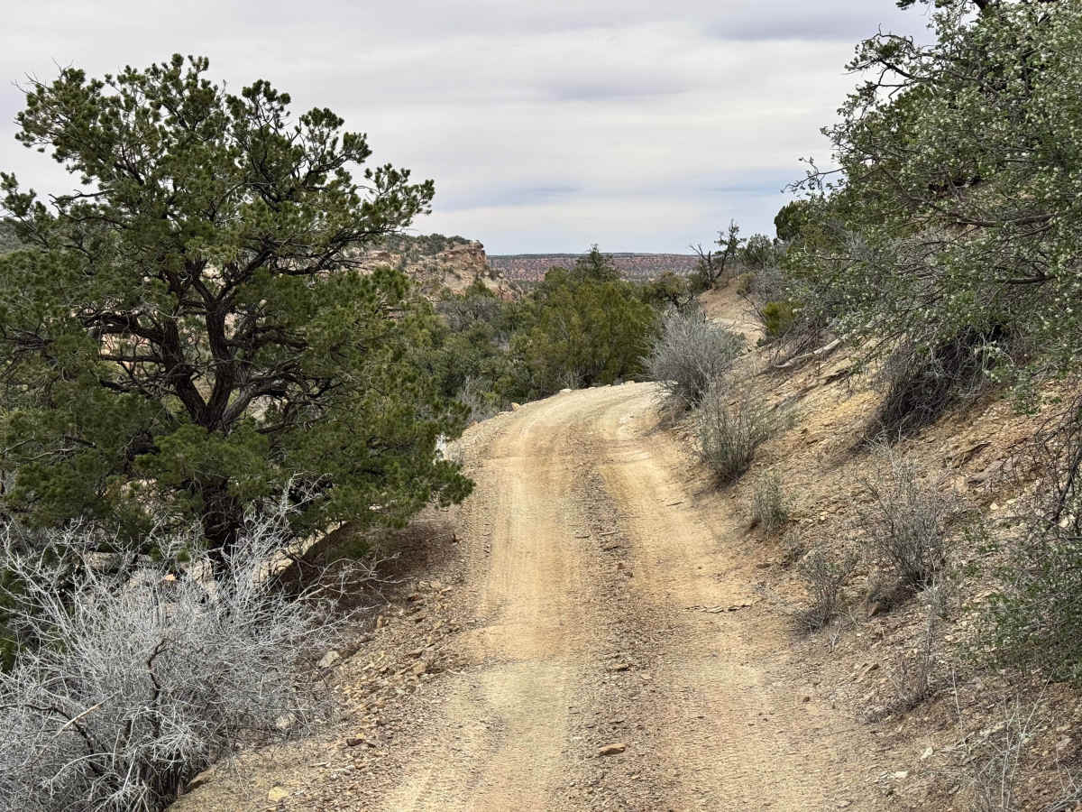 BLM 929 photo 5